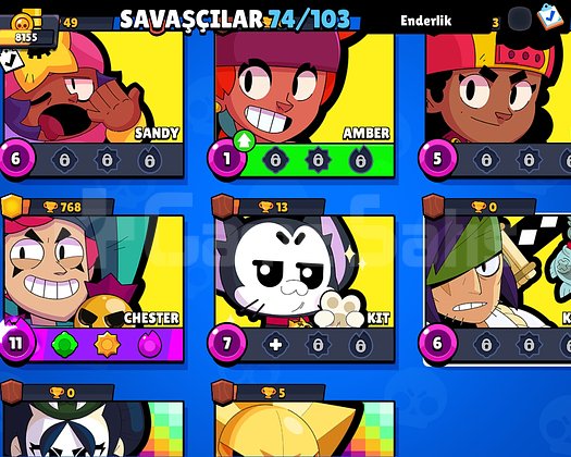 8k full hesap