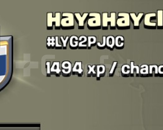 8 SEVİYE GÜZEL İSİMLİ KLAN hayahayclan