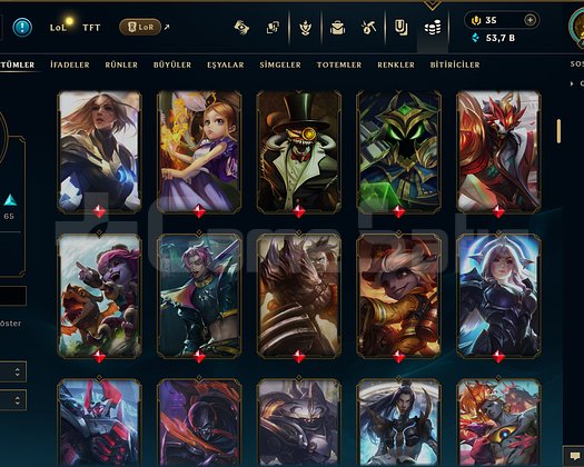 496 LVL + 165 KOSTÜM + 172 HERO + PLATİN 1 + MAİL!