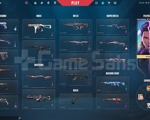 Premium Skinlerle yücelik görmüş mükemmel hesapp