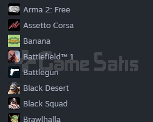 12 YILLIK MAIN HESABIMI SATIYORUM