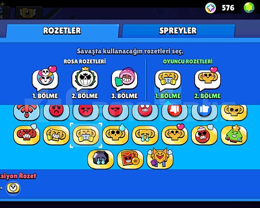 Challanger Colt+Kupa Pinleri