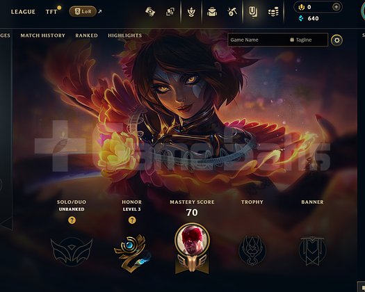 EUW Unranked | 6 Kostüm - 44 Hero | LoL Hesap