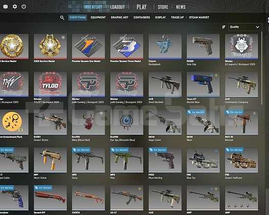 CS2 Rozetli Seçkin Hesap +1000 saat
