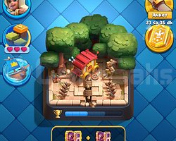 10.6K KUPA 6EVRİM 7YILLIK CR