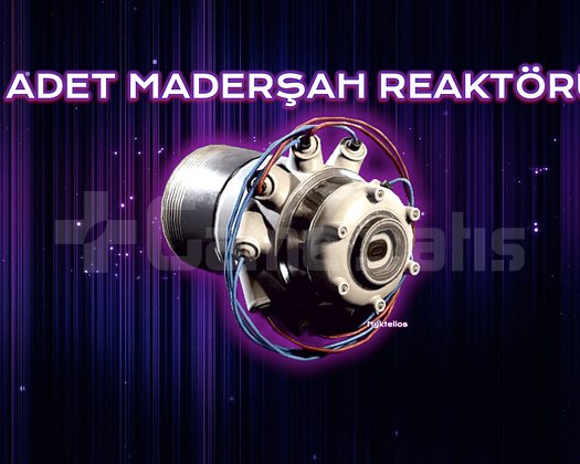 Maderşah Reaktörü 5 Adet