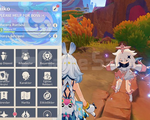 KAZUHA + MUALANI AR47