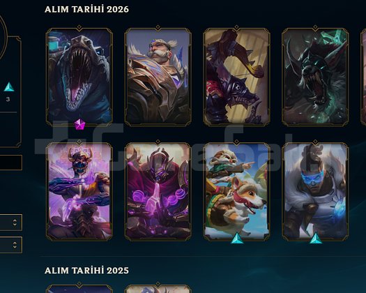 TR MASTER 16 SKIN ACC 65 wr