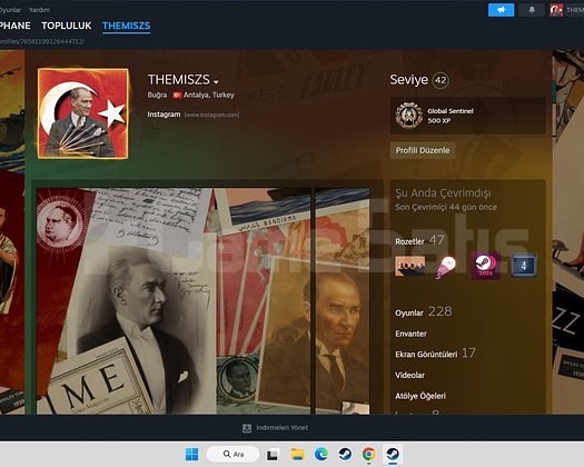 ACİL SATILIK STEAM HESABI FİYATA GÖRE UCUZA