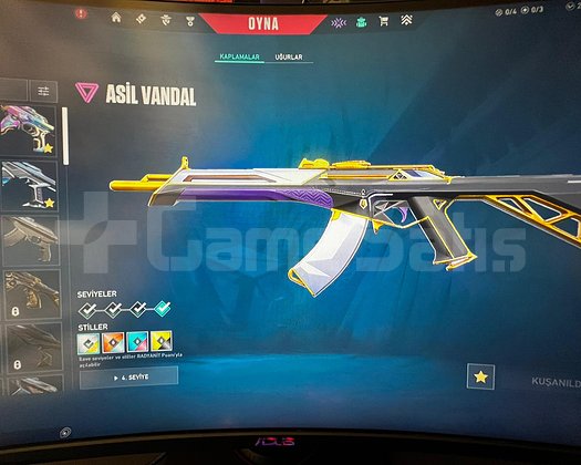 Mail Değişenli 18 Skin + 2 Battlepass