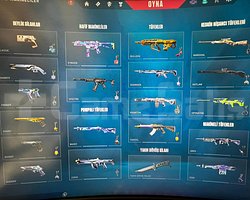 Mail Değişenli 18 Skin + 2 Battlepass