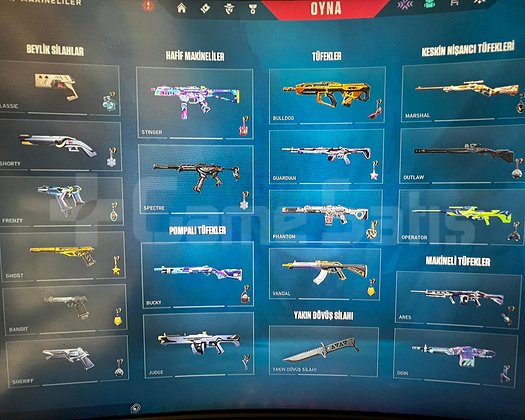 Mail Değişenli 18 Skin + 2 Battlepass