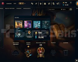 EUW 21 LEVEL 700RP HANDMADE JARVAN SORAKA ZOE SKIN