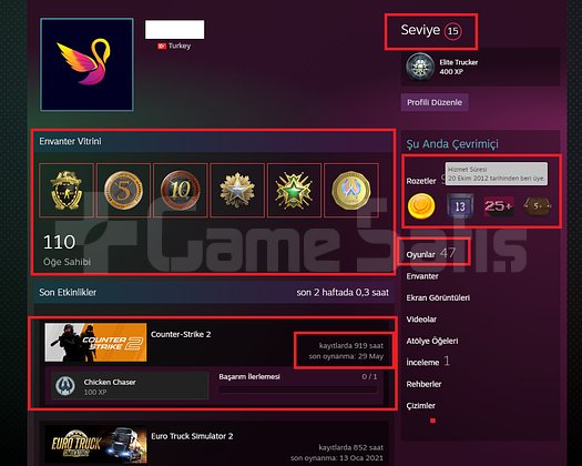 FACEİT+19K OYUN+7 MADALYA 384 WİN 919 SAAT SEÇKİN