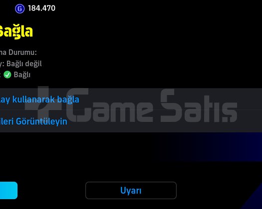 107 etolubtek bağ 1. Klasma hesabı mainlik