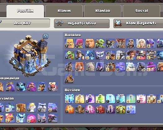 Max BB18