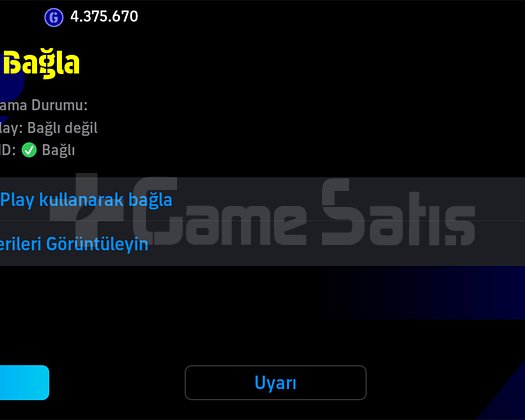 3223kg mainlik 1 bombacili hesap
