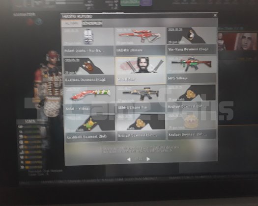 Wolfteam gümüş kartal