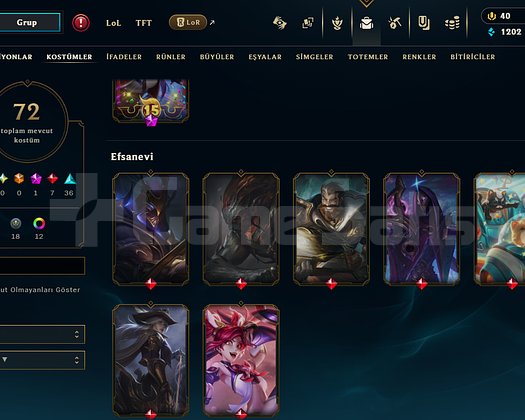 72 Skin Bütün Karakterler Açık İlk Sahibiyim Plat