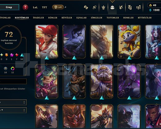 72 Skin Bütün Karakterler Açık İlk Sahibiyim Plat