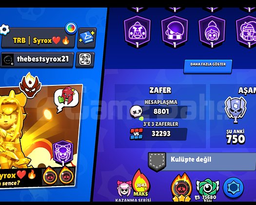 100K KUPA - TÜM KARAKTERLER FULL SEVİYE - Master