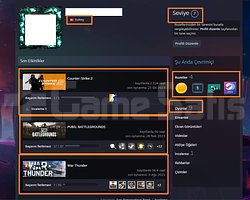 GTA V PUBG PLUS ETS 2 The Witcher 3 6750 TL STEAM