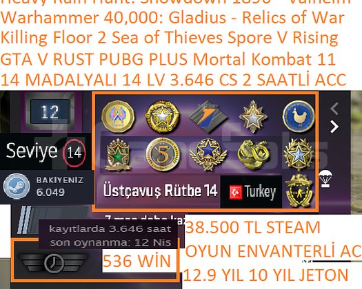 14 MADALYALI 14 LV 3.646 CS 2 SAATLİ GTA V RUST PU