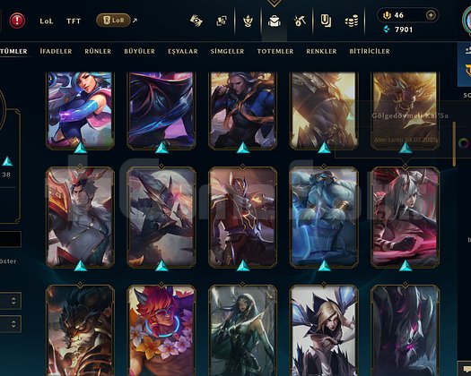 206 LVL 71 SKIN + TFT SKINLERI MEVCUTTUR TR SV