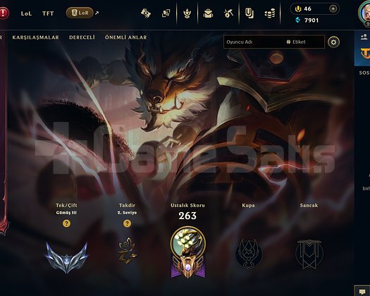 206 LVL 71 SKIN + TFT SKINLERI MEVCUTTUR TR SV