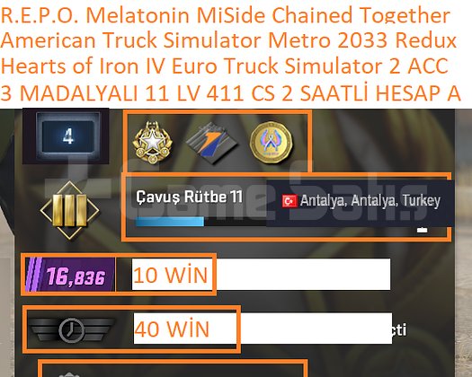 3 MADALYALI 11 LV Hearts of Iron IV ETS 2-American