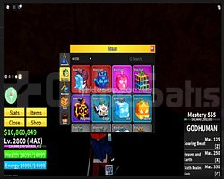 LVL 2800 MAX | ENVARTERDE KITSUNE + SPIRIT | RE ST