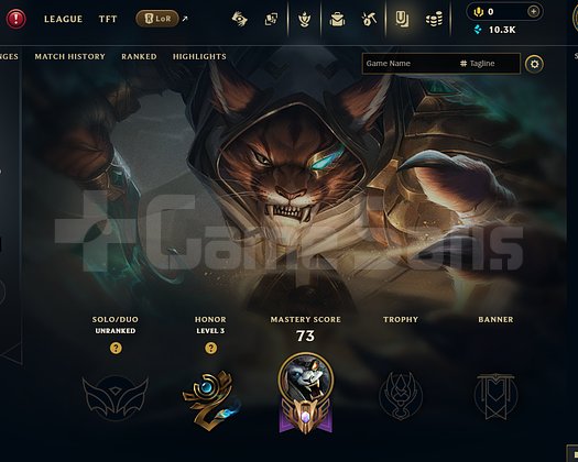 EUW Unranked | 8 Kostüm - 90 Hero | LoL Hesap