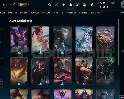 EUW DİA4 MASTER GÖRMÜŞ 20 SKIN