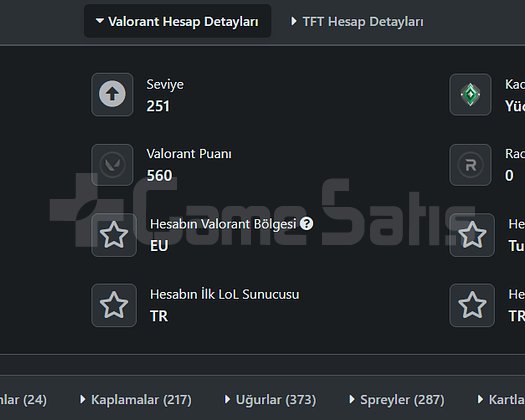 İÇİ DOLU HESAP MAINLIK