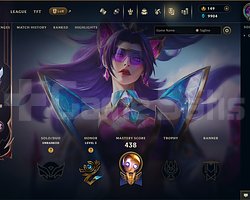 EUW | 242 SKİN | UNRANKED