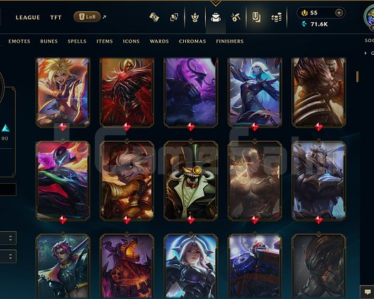 EUW | 244 SKİN | PLATİN 2