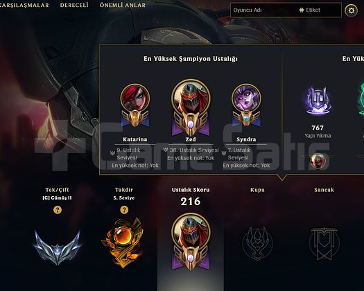 KOD ADI VAYNE 36 KÖSTÜM SİLVER 2 60 LP +60LP
