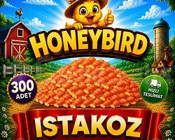 300 ADET ISTAKOZ KAMPANYALI