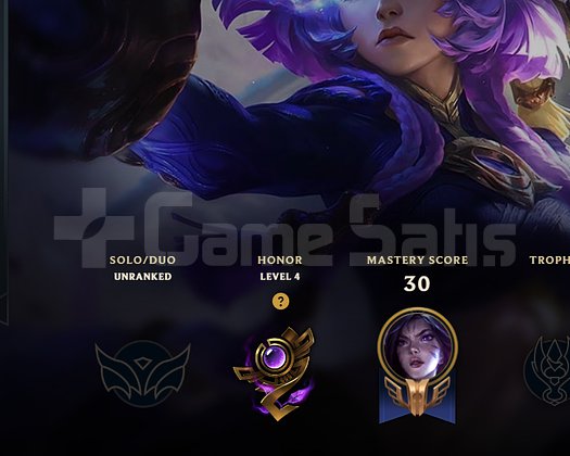 24 LVL 4 SKİN YAN HESABIM