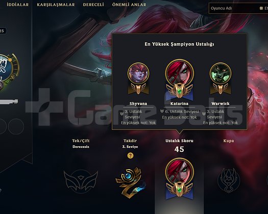 TR 25 LVL 17 TARİHLİ HESAP