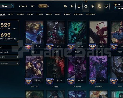 EUW SILVER 2 - 185 SKIN - 258 SIMGE - TAM ERİŞİM