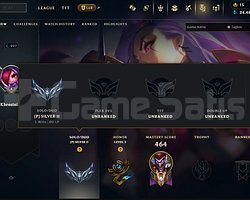 SILVER 2 I 155 SKIN I +95 ŞAMPIYON I TAM ERISIM