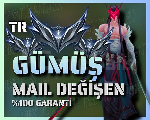 TR / GÜMÜŞ - HESAP + HANDMADE + MAİL DEĞİŞEN