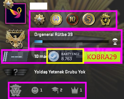FACEİT+11K OYUN+5 MADALYA 242 WİN 478 SAAT SEÇKİN
