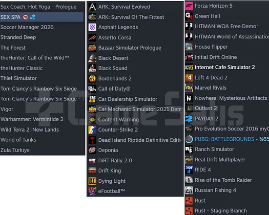 STEAM HESABI TOPLAM DEĞERİ 666 DOLAR