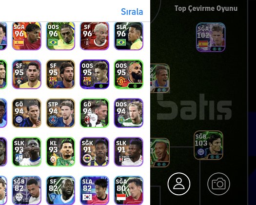 3175 TEK BAĞ SAĞLAM HESAP