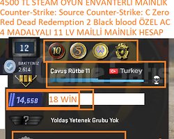 4 MADALYALI 11 LV RED DEAD 2 Black blood Counter-S