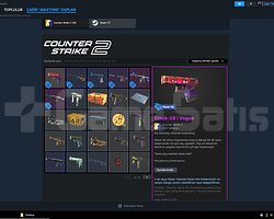 faceıt 8 lvl 70 dolar edvanterım var sadece