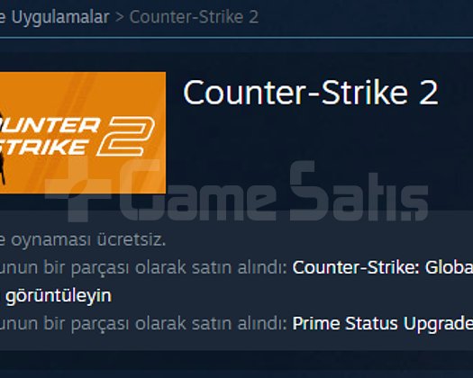 Seçkin CS2 Hesabı
