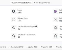 koleksiyonluk hesap